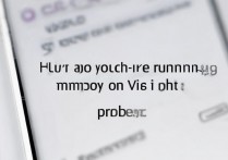 vivo手机怎么查看运行内存是多少，vivo手机运行内存在哪里看