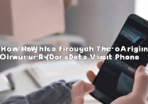 捡到vivo手机怎么彻底清除原机主账号？