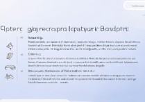 拼多多商家怎么举报买家？买家举报流程是什么？