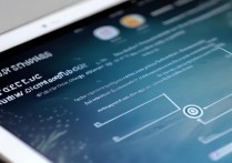 ipad怎么设置软件锁