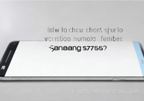 三星S79350如何查看具体版本号？