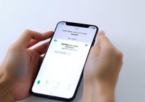 oppo 手机应用隐藏怎么弄？