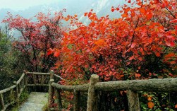 华山红叶风景区
