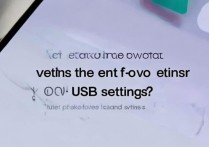 vivo USB设置密码入口在哪？找不到设置路径怎么办？
