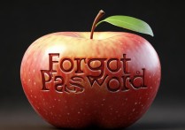 apple 忘记密码