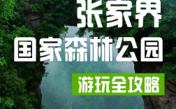 如何制定完美的森林公园旅游攻略？