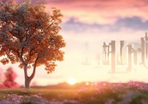 vivolmel怎么多了个l？正确拼写应该是vivel吗？