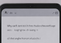 华为荣耀X1换字体后输入法键盘字体为何无法更改？