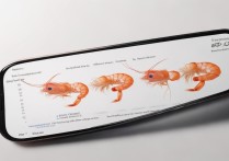 皮皮虾视频倒放教程，手机怎么操作？倒放后能发吗？