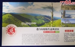 老白山风景区门票是多少钱