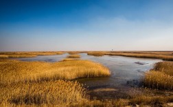 黄河入海口风景区