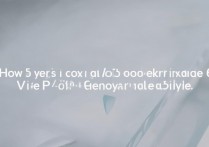 vivo手机怎么开ipv6，vivo手机ipv6开启方法详解