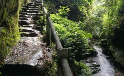 自贡桫椤谷风景区