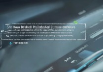 vivo手机如何彻底停用预装系统软件不占用内存？