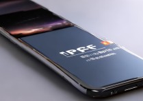 小米13 pro换后盖费用是多少？官方和第三方差多少？