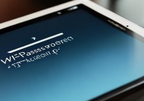 ipad连wifi密码错误