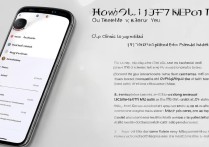 小米11青春版NFC功能怎么开启？详细步骤是什么？