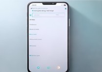 vivo手机截屏怎么截