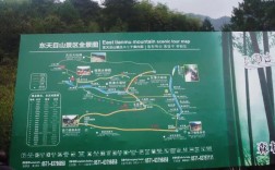 临安天目山旅游攻略，如何规划一次完美的旅行体验？