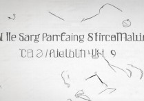 三星s3刷机包使用步骤是怎样的？详细教程求分享。