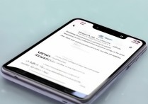 Vivo Y35系统怎么退回旧版本？降级方法步骤有哪些？