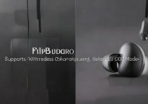 小米FlipBudsPro支持无线充电和LDAC模式吗？