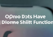 oppo有手机分身吗