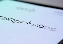 oppo手机后台权限怎么开？后台运行应用开启教程