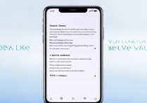 vivo手机如何清除所有默认设置？详细步骤是什么？