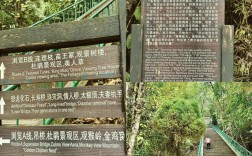 屏边大围山旅游攻略，如何规划一次完美的旅行体验？