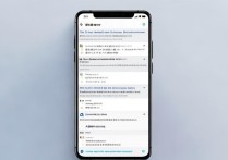 小米12S微信聊天记录怎么加密？开启方法有哪些？