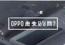 oppo 手机费流量怎么办？oppo 手机突然耗电量快流量跑得快的原因及解决方法