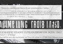 三星i9008手机怎么强制格式化数据不丢失？