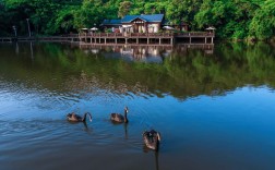 漳州港风景区