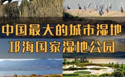 西昌邛海旅游攻略，如何规划一次完美的旅行？