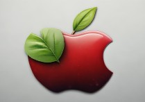 apple id头像不显示