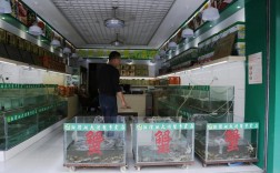 上海在哪里买大闸蟹