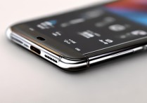 vivo17