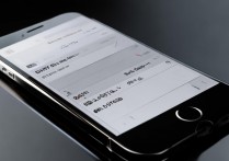 苹果4s美颜相机怎么设置，美颜相机参数如何调整？