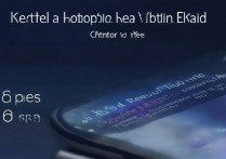 荣耀 60pro 怎么设置返回键？荣耀 60pro 导航键开启方法介绍