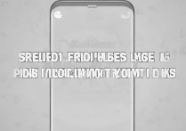 vivo手机如何永久关闭双击放大手势功能？