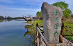 泰州溱湖湿地风景区