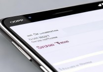 oppo 手机屏幕时间怎么设置