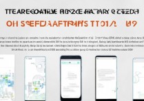 oppo1107 怎么恢复出厂设置？oppo1107 恢复出厂设置方法图解