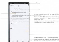OPPO手机怎么开启2G网络模式？设置步骤是什么？