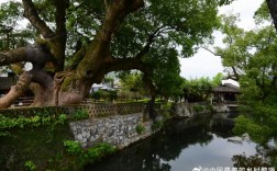 婺源严田风景区