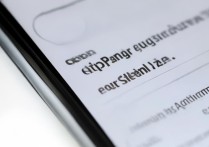 oppo手机如何缩小屏幕显示？设置里能调整屏幕尺寸吗？