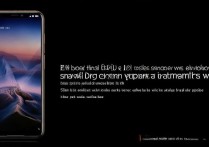 vivo手机如何设置动态壁纸？动图壁纸设置步骤详解