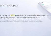 vivo兼容模式怎么用？老软件运行不了怎么办？