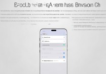 vivo手机权限密码怎么设置？详细步骤是什么？